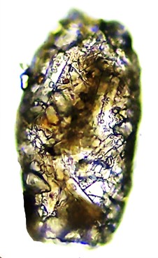 DIF sp 4 -B